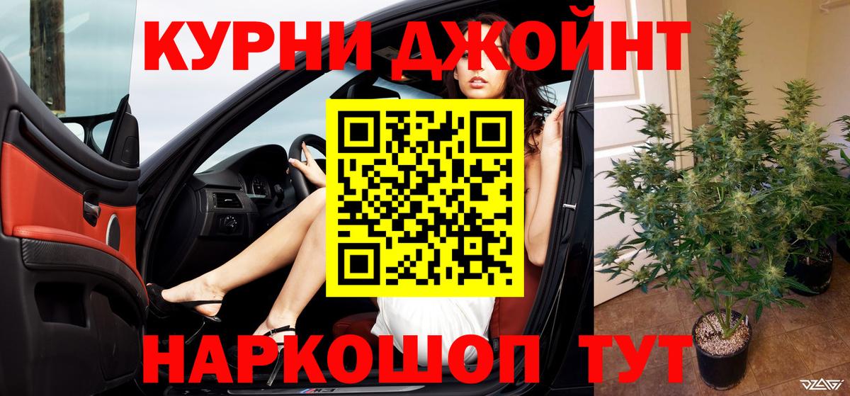 Бошки Шишки план Камышин